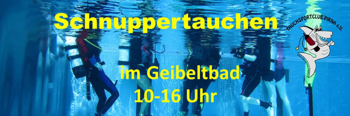 Unterwasseraufnahme von Tauchern mit Ausrüstung
