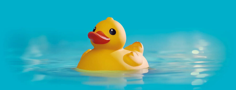 Bade-Ente schwimmt auf dem Wasser